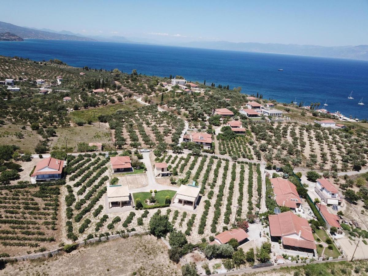 KoróniTakis Bizos House 1别墅 外观 照片